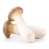 Buy King Oyster Mushrooms online