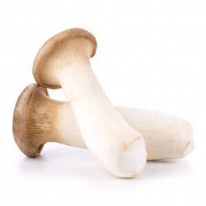 Buy King Oyster Mushrooms online