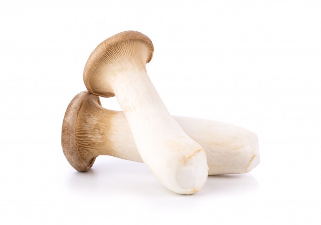 Buy King Oyster Mushrooms online
